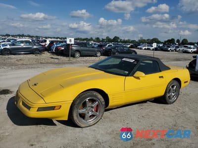 1991 CHEVROLET CORVETTE 1G1YY3382M5115747 - główne zdjęcie licytacji z USA - miniatura