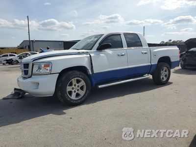 2011 DODGE DAKOTA SLT 1D7RE3GK6BS564198 - główne zdjęcie licytacji z USA - miniatura