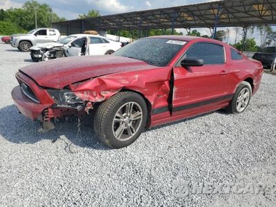 2013 FORD MUSTANG 1ZVBP8AMXD5261355 - główne zdjęcie licytacji z USA - miniatura