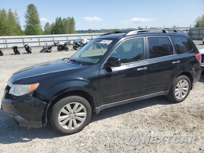 2013 SUBARU FORESTER 2.5X PREMIUM JF2SHADC4DG417566 - główne zdjęcie licytacji z USA - miniatura