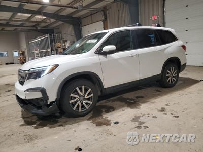 2020 HONDA PILOT EXL 5FNYF6H51LB020770 - główne zdjęcie licytacji z USA - miniatura