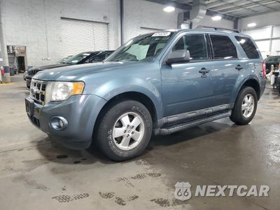 2011 FORD ESCAPE XLT 1FMCU0DG2BKC02950 - główne zdjęcie licytacji z USA - miniatura