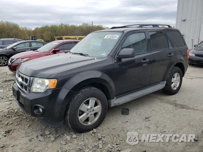2011 FORD ESCAPE XLT 1FMCU0D77BKA78173 - główne zdjęcie licytacji z USA - miniatura