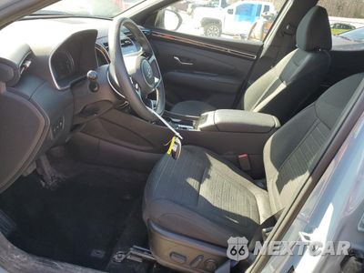 Zdjęcie 7 z 16 samochodu: 2024 HYUNDAI SANTA CRUZ SEL VIN:5NTJBDAE4RH082770 - miniatura