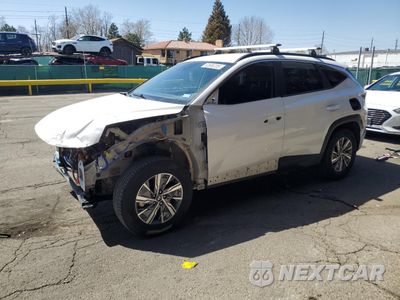 2022 HYUNDAI TUCSON BLUE KM8JBCA19NU032500 - główne zdjęcie licytacji z USA - miniatura