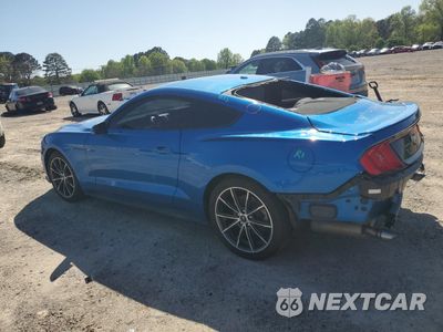 Drugie zdjęcie samochodu z przodu: 2019 FORD MUSTANG VIN:1FA6P8TH4K5202275 - miniatura