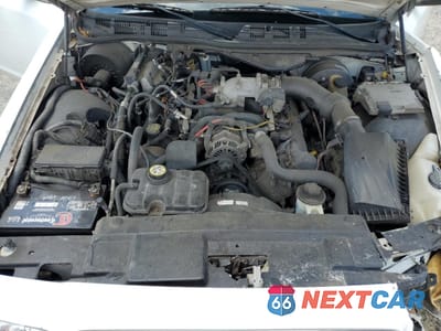 Zdjęcie 13 z 14 samochodu: 2009 FORD CROWN VICTORIA POLICE INTERCEPTOR VIN:2FAHP71V79X116544 - miniatura