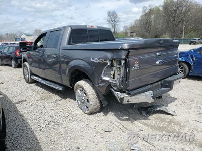 Drugie zdjęcie samochodu z przodu: 2013 FORD F150 SUPERCREW VIN:1FTFW1ET6DKF97599 - miniatura