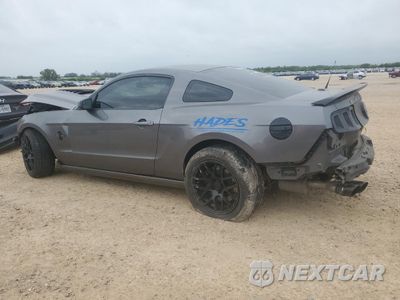 Drugie zdjęcie samochodu z przodu: 2013 FORD MUSTANG SHELBY GT500 VIN:1ZVBP8JZ5D5227013 - miniatura