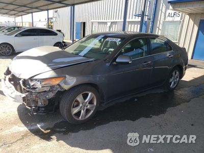 2009 ACURA TSX JH4CU26609C031462 - główne zdjęcie licytacji z USA - miniatura