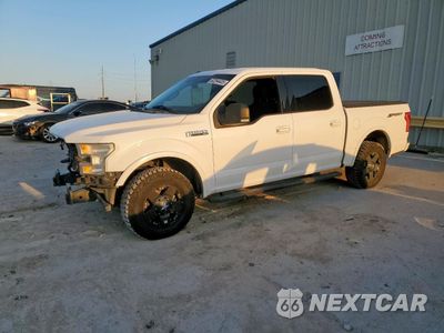 2016 FORD F150 SUPERCREW 1FTEW1CF7GKD22532 - główne zdjęcie licytacji z USA - miniatura