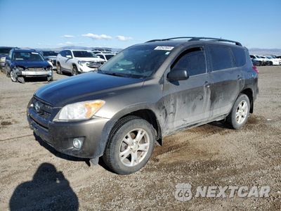 2012 TOYOTA RAV4 2T3BF4DV4CW237529 - główne zdjęcie licytacji z USA - miniatura