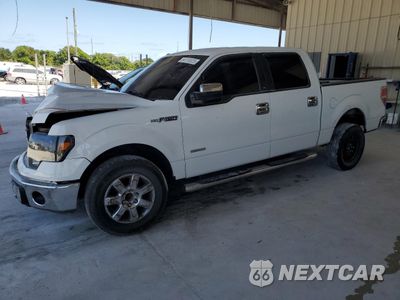2014 FORD F150 SUPERCREW 1FTFW1CT5EFC61861 - główne zdjęcie licytacji z USA - miniatura