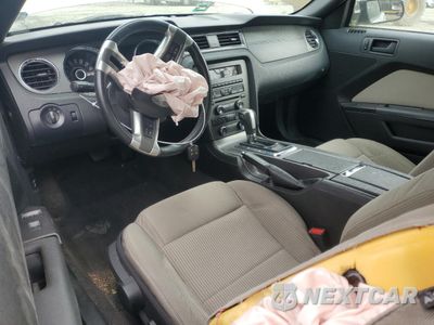 Zdjęcie 8 z 14 samochodu: 2013 FORD MUSTANG VIN:1ZVBP8EM4D5252323 - miniatura