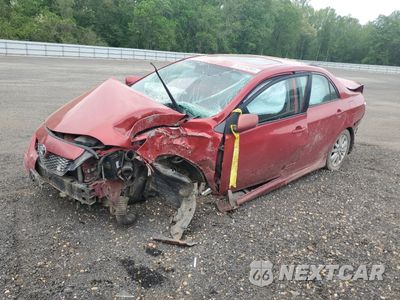 2009 TOYOTA COROLLA BASE 2T1BU40E19C046715 - główne zdjęcie licytacji z USA - miniatura