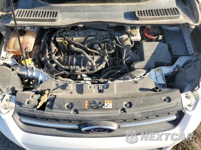 Zdjęcie 14 z 15 samochodu: 2014 FORD ESCAPE SE VIN:1FMCU0GX9EUE14510 - miniatura