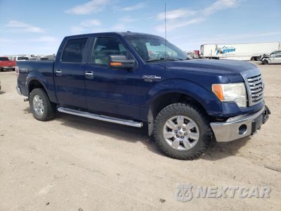 Czwarte zdjęcie samochodu z boku: 2010 FORD F150 SUPERCREW VIN:1FTFW1EV9AFC71222 - miniatura
