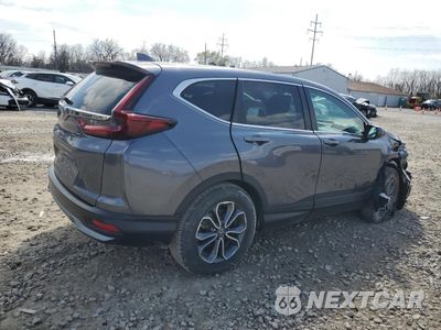 Trzecie zdjęcie samochodu z tyłu: 2020 HONDA CR-V EX VIN:5J6RW1H57LL014261 - miniatura