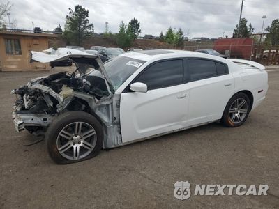 2013 DODGE CHARGER R/T 2C3CDXCT2DH516415 - główne zdjęcie licytacji z USA - miniatura