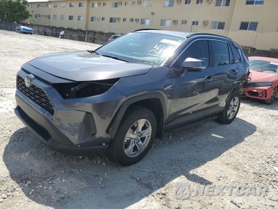 2024 TOYOTA RAV4 XLE 2T3W1RFV9RW351125 - główne zdjęcie licytacji z USA - miniatura