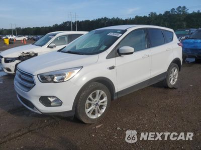 2019 FORD ESCAPE SE 1FMCU0GD5KUB94784 - główne zdjęcie licytacji z USA - miniatura
