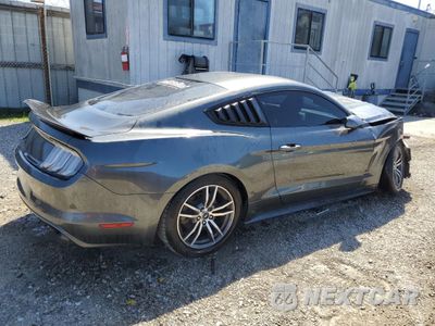 Trzecie zdjęcie samochodu z tyłu: 2016 FORD MUSTANG VIN:1FA6P8TH8G5273986 - miniatura