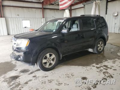 2009 HONDA PILOT EXL 5FNYF48579B034010 - główne zdjęcie licytacji z USA - miniatura