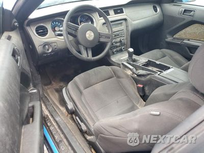 Zdjęcie 8 z 14 samochodu: 2012 FORD MUSTANG VIN:1ZVBP8AM3C5253726 - miniatura