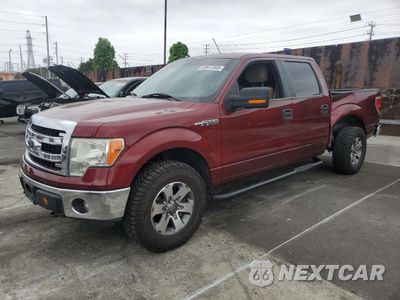 2014 FORD F150 SUPERCREW 1FTFW1EF4EFC11184 - główne zdjęcie licytacji z USA - miniatura
