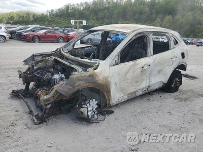 2020 FORD ESCAPE SE 1FMCU9G6XLUA62031 - główne zdjęcie licytacji z USA - miniatura