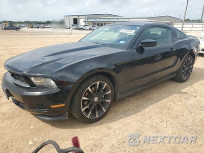 2012 FORD MUSTANG 1ZVBP8AMXC5241458 - główne zdjęcie licytacji z USA - miniatura