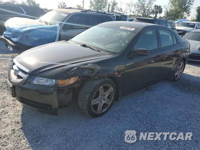 2004 ACURA TL 19UUA66224A058994 - główne zdjęcie licytacji z USA - miniatura