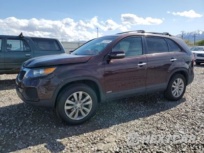 2011 KIA SORENTO BASE 5XYKTDA29BG177263 - główne zdjęcie licytacji z USA - miniatura