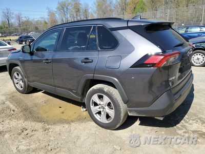Drugie zdjęcie samochodu z przodu: 2019 TOYOTA RAV4 XLE VIN:JTMRWRFV8KD035331 - miniatura
