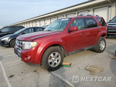 2012 FORD ESCAPE LIMITED 1FMCU9EG3CKB92790 - główne zdjęcie licytacji z USA - miniatura