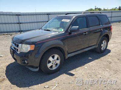 2011 FORD ESCAPE XLT 1FMCU9D71BKB73526 - główne zdjęcie licytacji z USA - miniatura
