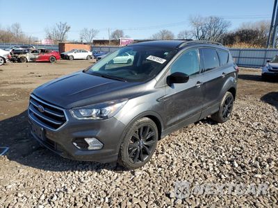 2019 FORD ESCAPE SE 1FMCU9GD8KUB09229 - główne zdjęcie licytacji z USA - miniatura
