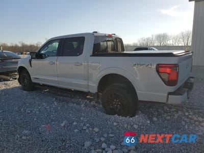 Drugie zdjęcie samochodu z przodu: 2024 FORD F150 XLT VIN:1FTFW3LD0RFA56023 - miniatura