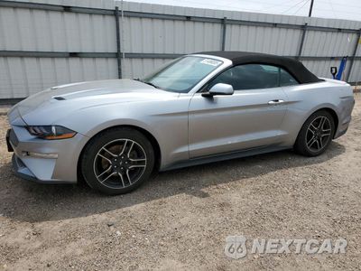 2022 FORD MUSTANG 1FATP8UH8N5103433 - główne zdjęcie licytacji z USA - miniatura