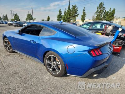 Drugie zdjęcie samochodu z przodu: 2024 FORD MUSTANG VIN:1FA6P8TH4R5107029 - miniatura