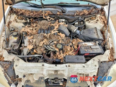 Zdjęcie 11 z 12 samochodu: 2001 FORD TAURUS SE VIN:1FAFP53U01A110758 - miniatura