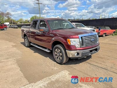 2010 FORD F150 SUPERCREW 1FTEW1E88AFD59975 - główne zdjęcie licytacji z USA - miniatura