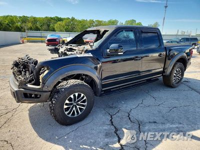 2017 FORD F150 RAPTOR 1FTFW1RG3HFB66388 - główne zdjęcie licytacji z USA - miniatura