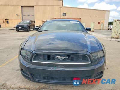 Piąte zdjęcie samochodu w środku: 2014 FORD MUSTANG VIN:1ZVBP8AM0E5318406 - miniatura