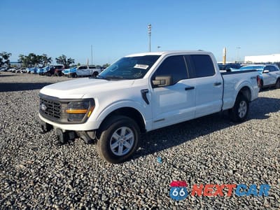 2025 FORD F150 XL 1FTFW1FD9SFA06209 - główne zdjęcie licytacji z USA - miniatura