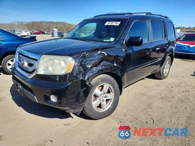 2009 HONDA PILOT EXL 5FNYF48589B041791 - główne zdjęcie licytacji z USA - miniatura