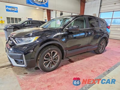2020 HONDA CR-V EX 5J6RW2H50LA018055 - główne zdjęcie licytacji z USA - miniatura