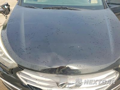 Zdjęcie 12 z 13 samochodu: 2018 HYUNDAI SANTA FE SPORT 2.4L VIN:5XYZTDLB0JG530970 - miniatura