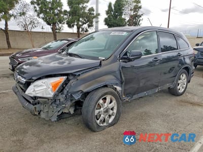 2008 HONDA CR-V EXL JHLRE38738C030442 - główne zdjęcie licytacji z USA - miniatura