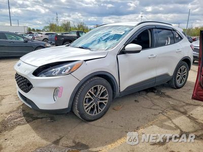 2020 FORD ESCAPE SEL 1FMCU9H60LUA53627 - główne zdjęcie licytacji z USA - miniatura
